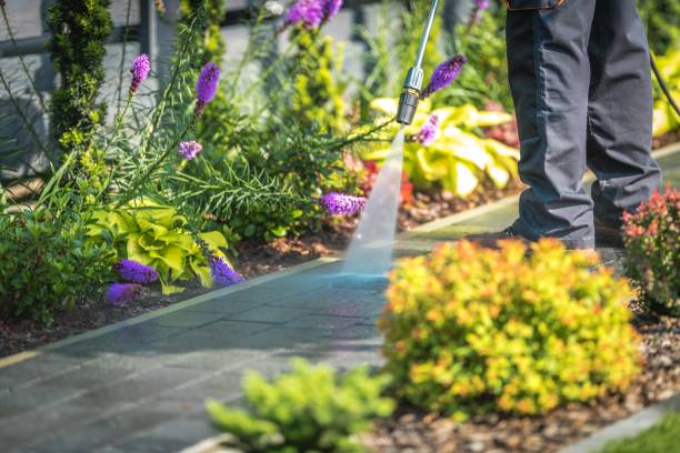 Professional Pressure Washing Services in Biola, CA